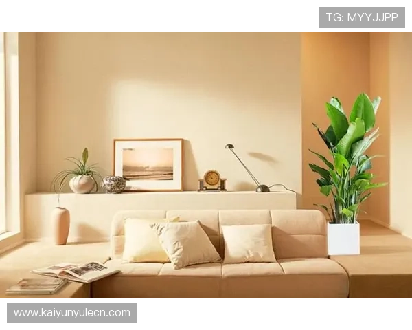 开运大全中的风水布局技巧,打造吉祥如意的居家环境 开运大全中的风水布局技巧,打造吉祥如意的居家环境