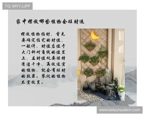 开运ppt制作技巧助你轻松提升演示效果实现事业财运双丰收